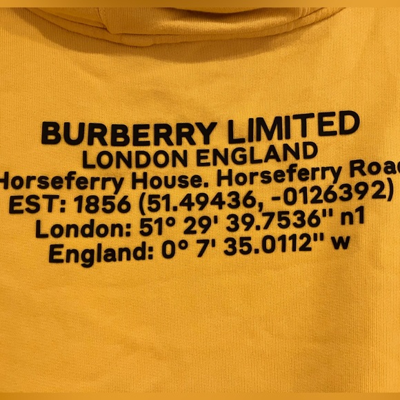 Burberry rubber letters hoodie - Picture 1 of 8